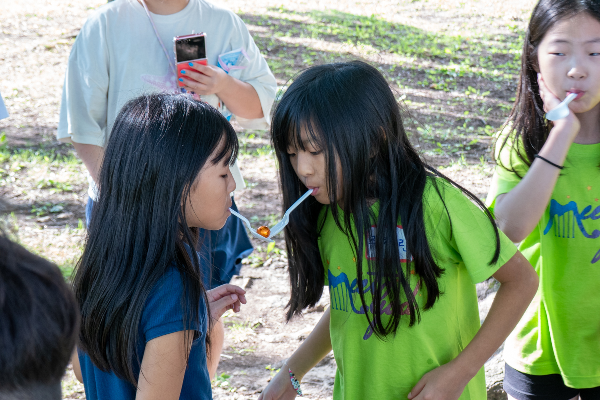 20260829-P1050034.jpg