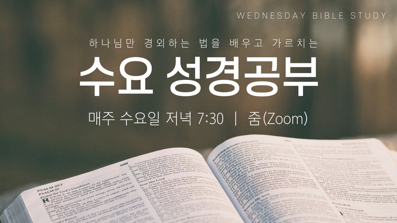 제목을-입력해주세요._복사본-001.png