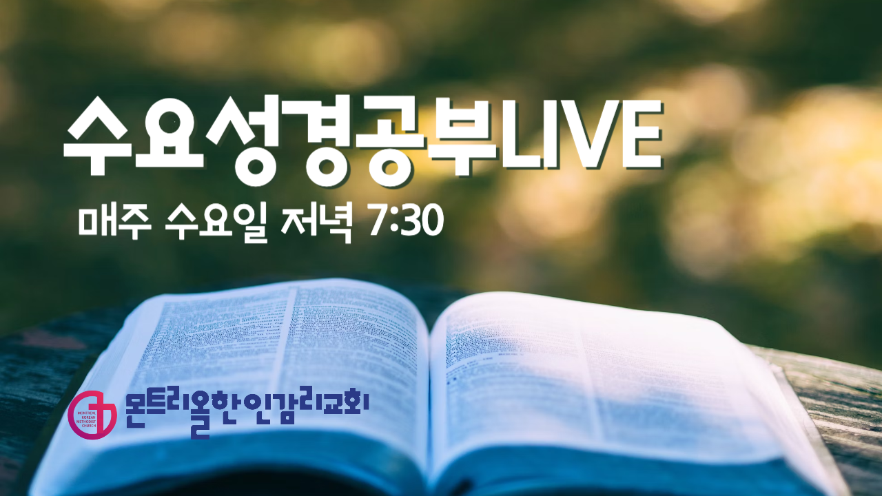 2025년 유투브 섬네일-004.png